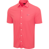 SPICED CORAL