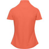 ORANGE ROSE || Back