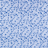 BLUE STORM DETAIL LIFESTYLE INFO