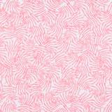 CORAL COVE