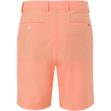 CANTALOUPE