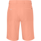 CANTALOUPE
