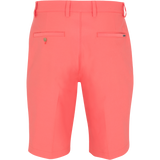 PARROT || Back