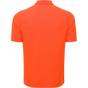 SUNSHINE ORANGE