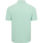 TEA GREEN || Back