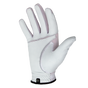 WHITE BACK WHITE BACK