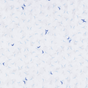 WHITE DETAIL LIFESTYLE INFO WHITE DETAIL LIFESTYLE INFO