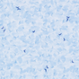 CLOUD DETAIL LIFESTYLE INFO CLOUD DETAIL LIFESTYLE INFO