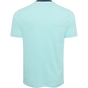 MISTY TURQUOISE BACK LIFESTYLE INFO MISTY TURQUOISE BACK LIFESTYLE INFO
