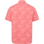 SPICED BACK FRONT LIFESTYLE INFO SPICED BACK FRONT LIFESTYLE INFO