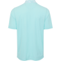 MISTY TURQUOISE BACK LIFESTYLE INFO MISTY TURQUOISE BACK LIFESTYLE INFO