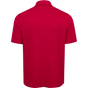 SAVVY RED BACK LIFESTYLE INFO SAVVY RED BACK LIFESTYLE INFO