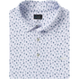 WHITE WHITE