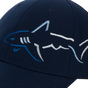 NAVY NAVY