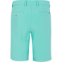 SEA TINT || Back