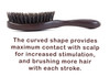 100% Pure Calcutta Wild Boar Bristle Hair Brush, Calcutta Max for Thick or Long Hair, Gentle, Extra Stiff Natural Bristles, Dark Thermo Ash Wood Handle, Made in Europe