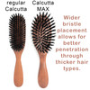 100% Pure Calcutta Wild Boar Bristle Hair Brush, Calcutta Max for Thick or Long Hair, Gentle, Extra Stiff Natural Bristles, Dark Maple Wood Handle, Made in Europe