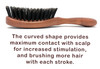 100% Pure Calcutta Wild Boar Bristle Hair Brush, Calcutta Max for Thick or Long Hair, Gentle, Extra Stiff Natural Bristles, Dark Maple Wood Handle, Made in Europe
