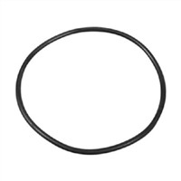 Seal Top Gasket for RP350 or RP400 Canister Systems with a Locking Top Polygroupstore