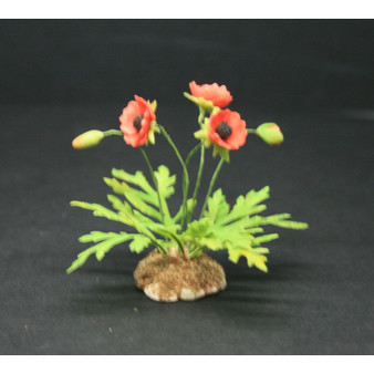 OOAK-Scarlet-Poppy--Dolls-House-Miniatures--12th-Scale--Cold-Porcelain-Flowers-Miniature Flower - Dollhouse Flower - Garden - Jennifer Khan