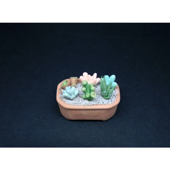 OOAK Miniature Succulents Garden ~ Dolls House Miniatures ~ 12th Scale ~ Cold Porcelain Flowers-Miniature Flower- Jennifer Khan