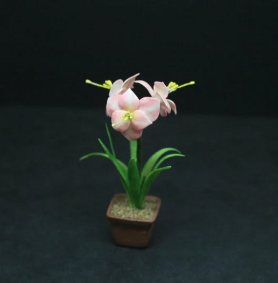 MTO - Amaryllis--Dolls-House-Miniatures--12th-Scale--Cold-Porcelain-Flowers-Miniature Flower - Dollhouse Flower - Garden - Jennifer Khan