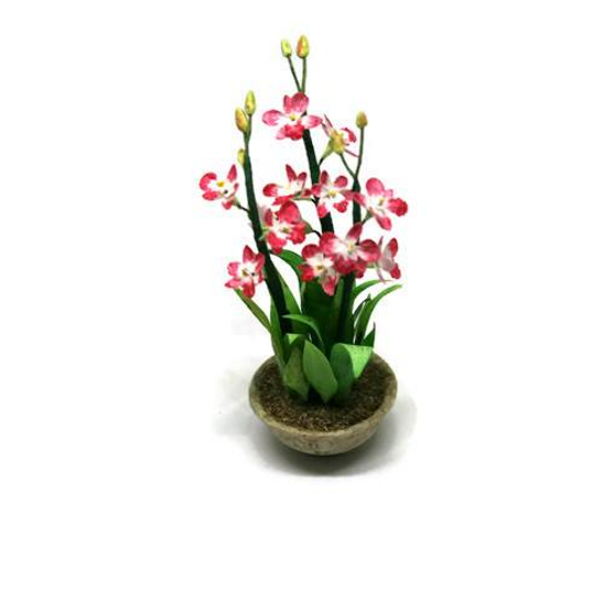 OOAK Orchid in Tub--Dolls-House-Miniatures--12th-Scale--Cold-Porcelain-Flowers-Miniature Flower - Dollhouse Flower - Garden - Jennifer Khan