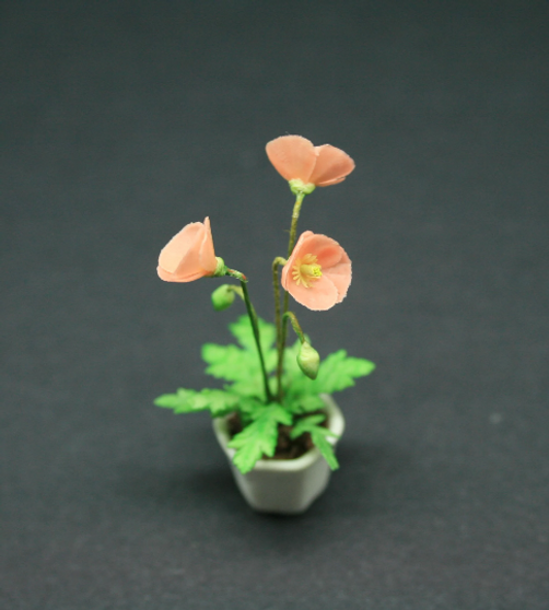 OOAK - MTO - Icelandic Poppy Potted Plant--12th-Scale Cold-Porcelain--Dolls-House-Miniatures--12th-Scale--Cold-Porcelain-Flowers-Miniature Flower - Dollhouse Flower - Garden - Jennifer Khan