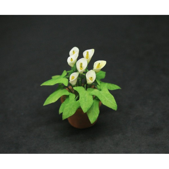 MTO - OOAK White-Arum-Lily-In-Pot--12th-Scale Cold-Porcelain--Dolls-House-Miniatures--12th-Scale--Cold-Porcelain-Flowers-Miniature Flower - Dollhouse Flower - Garden - Jennifer Khan