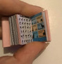 A Miniature Dog Training Book - Dolls House Miniature - 12th Scale