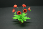 OOAK-Somme-Poppy--Dolls-House-Miniatures--12th-Scale--Cold-Porcelain-Flowers- Jennifer Khan