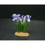 MTO - OOAK Bearded Iris ~ Dolls House Miniatures ~ 12th Scale ~ Cold Porcelain Flowers-Miniature Flower- Jennifer Khan