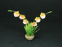 MTO -Pansy Orchid Sunrise 1--Dolls-House-Miniatures--12th-Scale--Cold-Porcelain-Flowers-Miniature Flower - Dollhouse Flower - Garden - Jennifer Khan