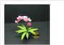 OOAK Moth Orchid in Tub--Dolls-House-Miniatures--12th-Scale--Cold-Porcelain-Flowers-Miniature Flower - Dollhouse Flower - Garden - Jennifer Khan