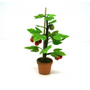 OOAK Tomato Plant--Dolls-House-Miniatures--12th-Scale--Cold-Porcelain-Flowers-Miniature Flower - Dollhouse Flower - Garden - Jennifer Khan