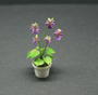 OOAK-Sweet Violet Potted Plant--Dolls-House-Miniatures--12th-Scale--Cold-Porcelain-Flowers-Miniature Flower - Dollhouse Flower - Garden - Jennifer Khan