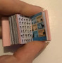 Everything for dog -Set of 3 Books for Pet - 1:12 scale miniature