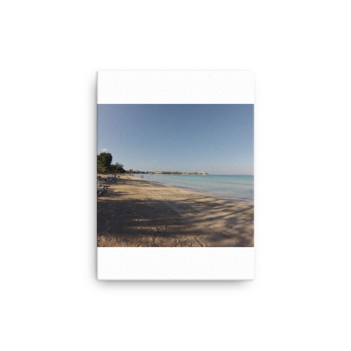 Canvas Canvas