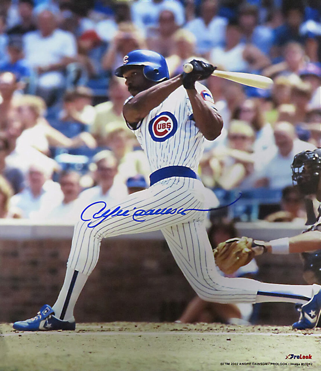 Andre Dawson Overview