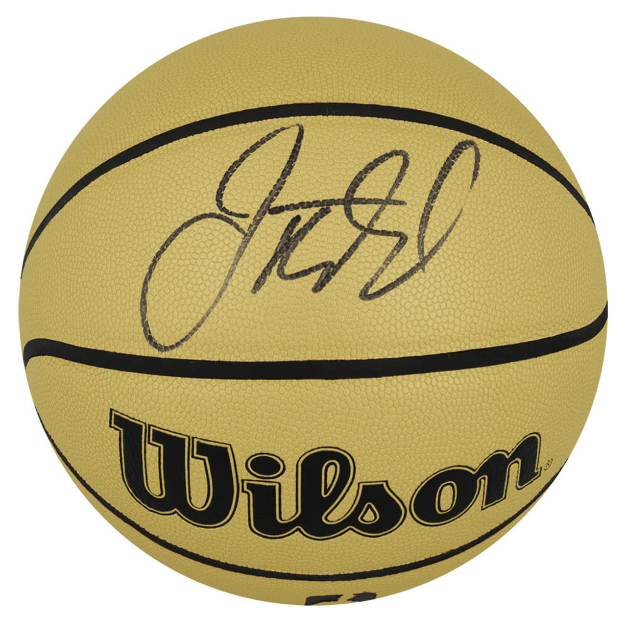 Jason Kidd Signed Wilson Gold NBA Full Size Basketball - Schwartz  Authenticated