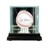 Single Baseball Glass Display Case - Black Moulding