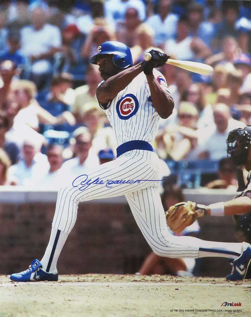 Andre Dawson Signed Chicago Cubs Batting Action 16x20 Photo - Schwartz Authentic