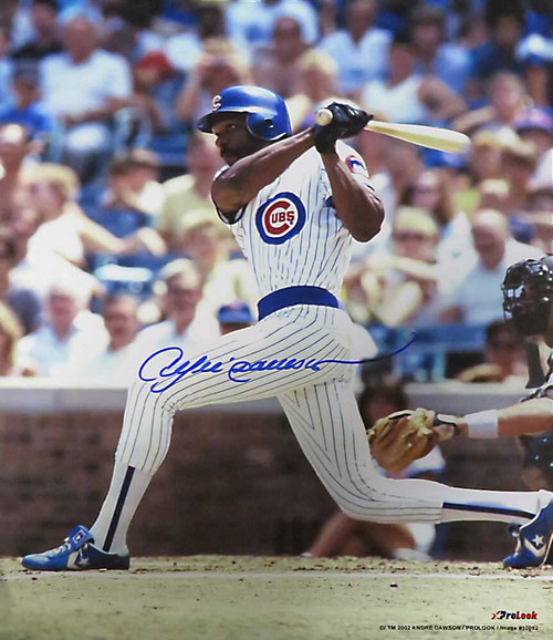 Andre Dawson Signed Chicago Cubs Batting Action 8x10 Photo - Schwartz Authenticated