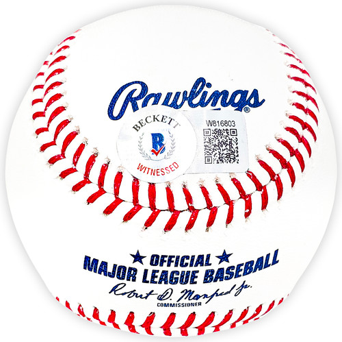 Cleveland Indians Fanatics Authentic Gold Glove Single Baseball Logo  Display Case