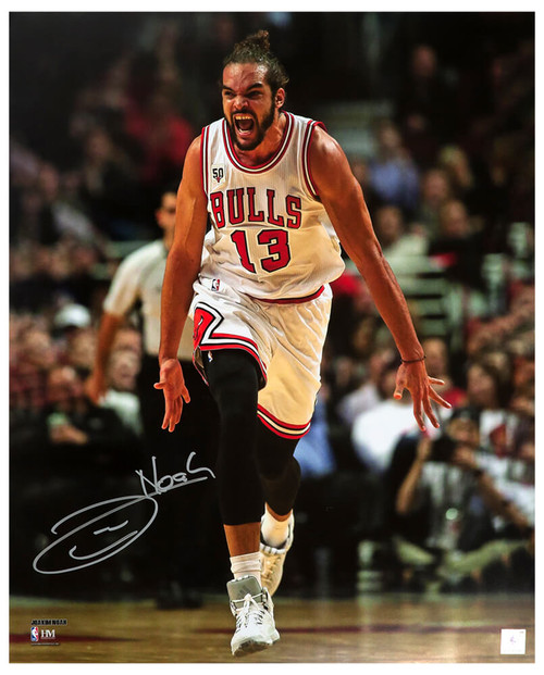 Joakim Noah Signed Chicago Bulls Running Action 16x20 Photo - Schwartz Authenticated