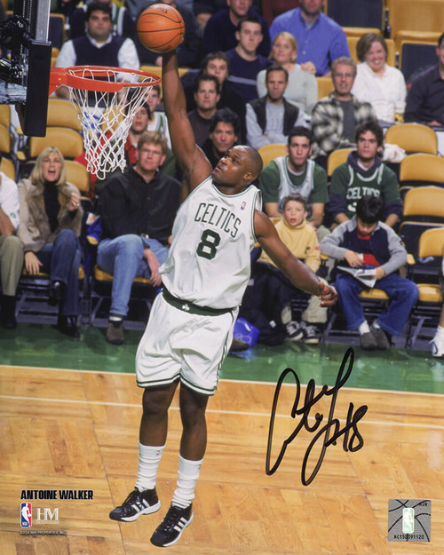 Antoine Walker Signed Boston Celtics Dunking Action 8x10 Photo - Schwartz Authenticated