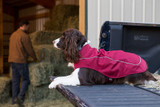 K-9 Overcoat by Ruffwear