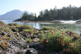 Escape to Clayoquot Sound | Finding Home in a Wild Place by John Dowd, Bea Dowd