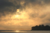 Escape to Clayoquot Sound | Finding Home in a Wild Place by John Dowd, Bea Dowd