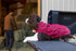 K-9 Overcoat by Ruffwear